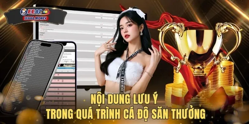 Nội dung lưu ý trong quá trình cá độ săn thưởng